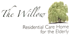 The willow logo main