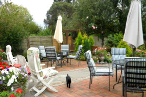 Garden patio with seating and plants