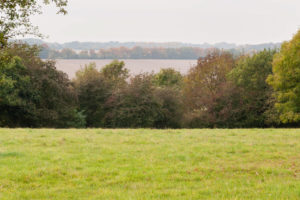 Countryside with green grass