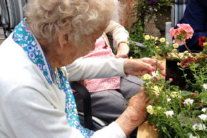 Old lady arranging flowers in the garden