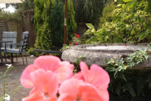 Back garden with seating and a bird bath